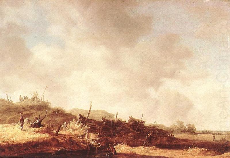 Jan van Goyen Landscape with Dunes china oil painting image